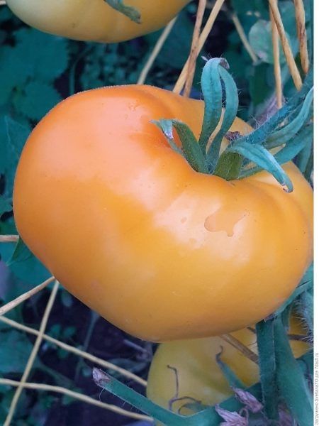 ����� ������ �������: ������� ����� � ��������� ���� �� ����� �����