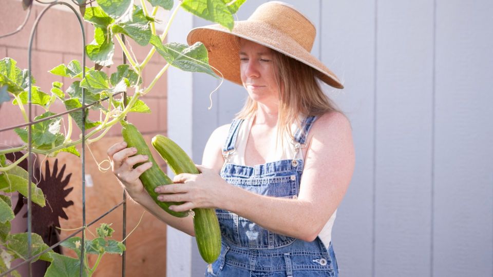 ������ ������ �� ������� �������: ������� ��� ������������� ���������