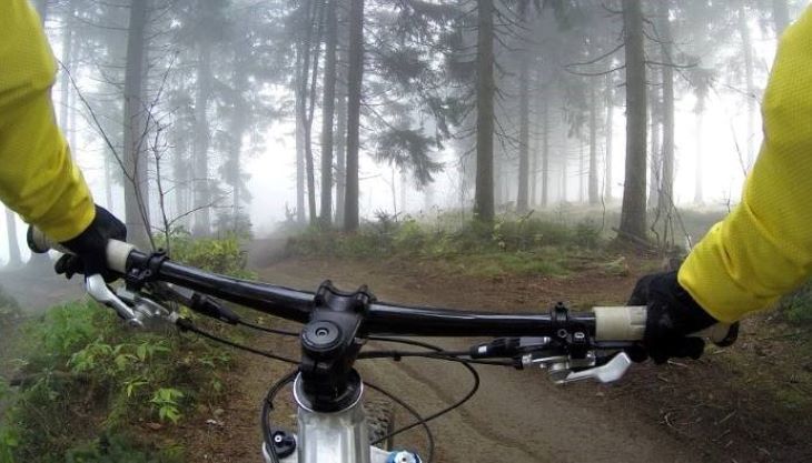 7 �������, �������� ����� �������� �� �����