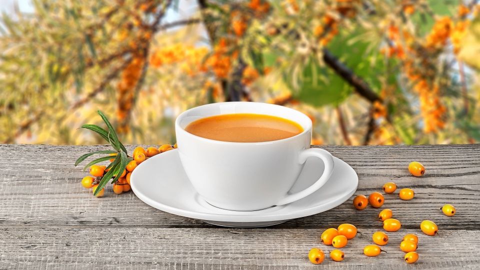 ��� ��� ������� ��������� ��� �� �������� � ����: ���������� ����� ��� �����������