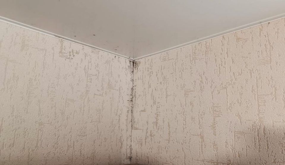 ������� � ��������: ��� �������� ����� � �� ��������� ��� �����������