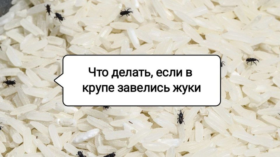 ��� ���������� � ������� � �����: ������������ ������ � ������� �������