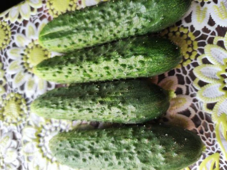 ��� ��������� ����������� ������