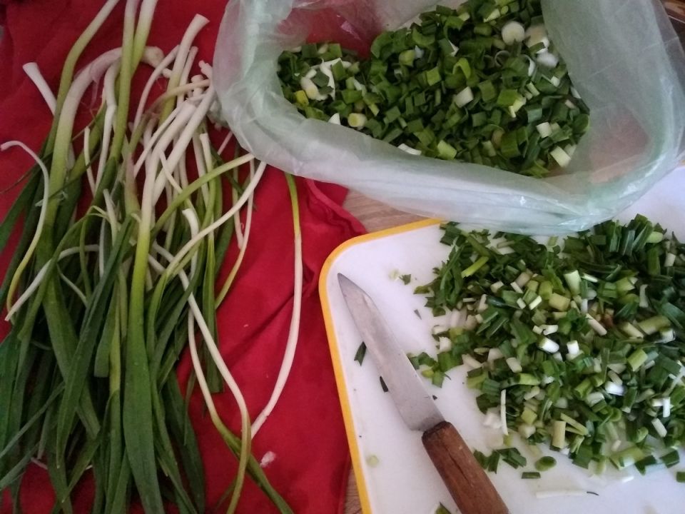 Чеснок на грядке: как превратить неожиданный урожай в вкусный запас