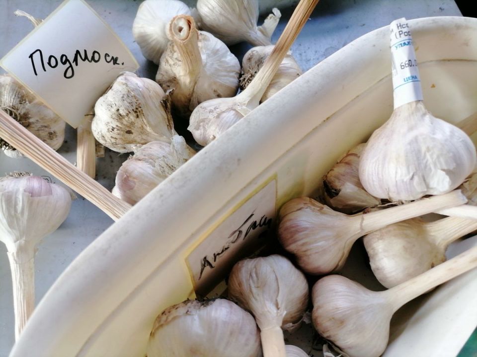 ������ ������: ������� ������� � ����� �� �������