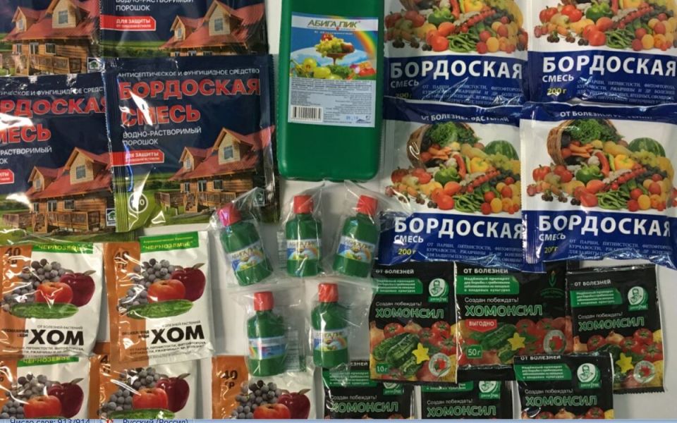 ����� ����� ���������� ���������: ������� ���������� ������ ����