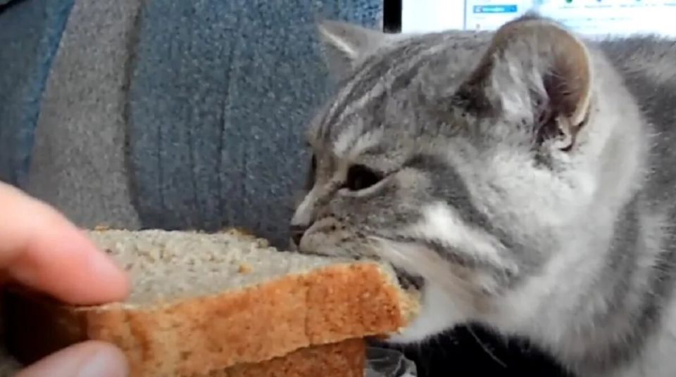 ����� �� ����� ���� ����? ������� ������ ���������