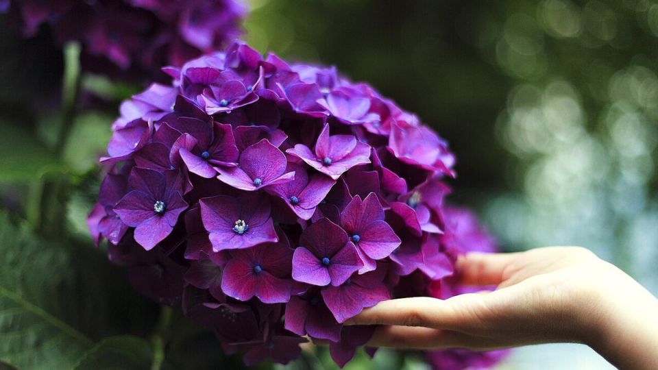 ��������� ������: ��� �������� �������� �� ����������