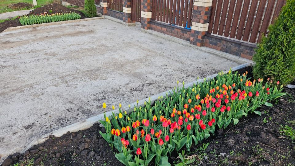 ������ � ����������: ��� �������� ���������������� ��������