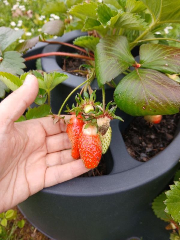 ��� ��������� �������� �� �����������: ������� ����� � ����� ����� ����