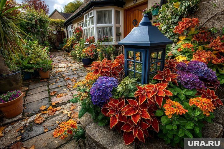 ��� ��������� ����������� �������� � ����: ������ �� �������� ��������