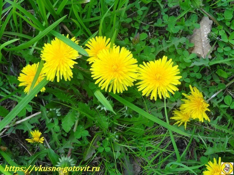 ��� ����������� ��� �� ����������� � �������: ������� � ������