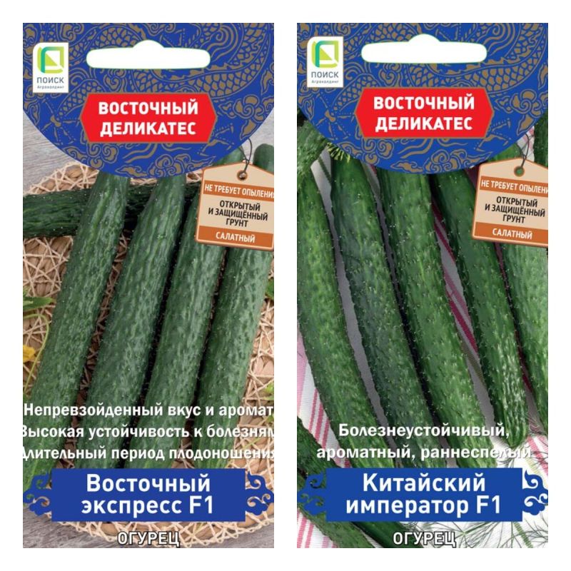 ��������� ������: ��� ���������� �������� ����������� �������