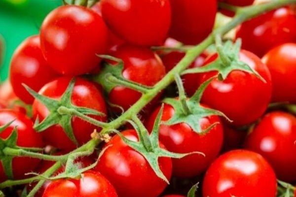 ����� ����: ��������� ����� ��� ������ �������