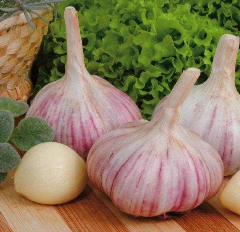 ��� �������� �������� ������ �������: ������ �� ���������� ������