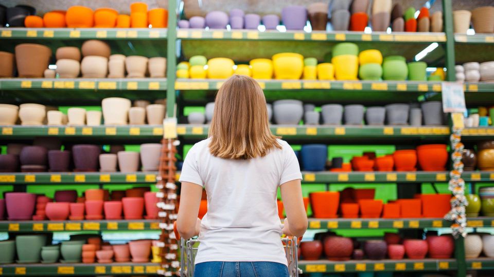 ��������� ��������� ������ ��� ������ ���������� ��������: ����������� ������� �������