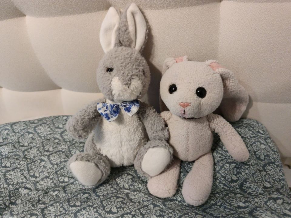 ����������� ������: ��� ����� ����� �� ��������� ������ � ������?