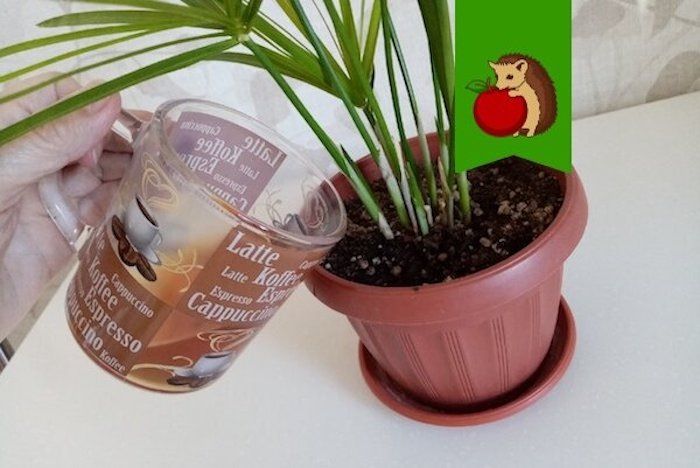 ��� ������������� ������� �������� ��� ��������� ��������