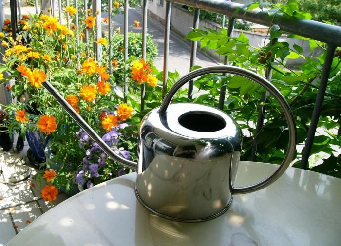 ��� ������� ���� ����� ������� ����� ��������: ������� ������������ ���������