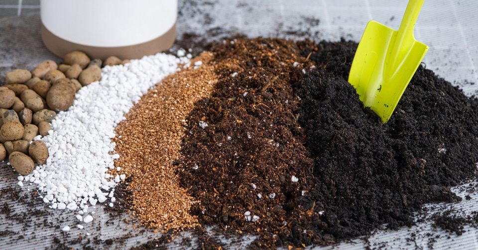 7 ����������� ������������� ������: ��� ����� �����