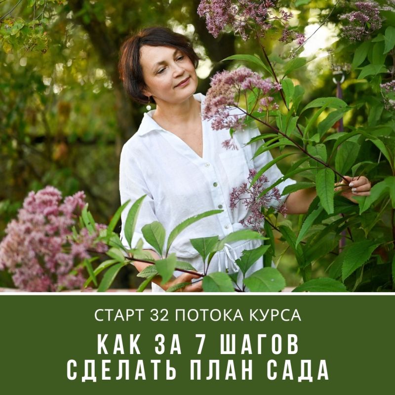 ����� ����� �����: �������� ��������� ��� �� 8 ������