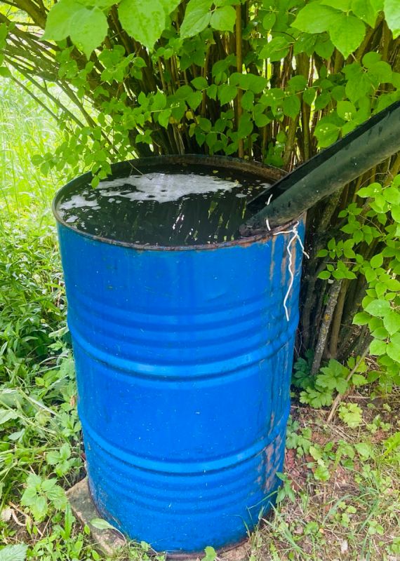 ����� � �������� �������� ������ ����: �� �������� �� ������