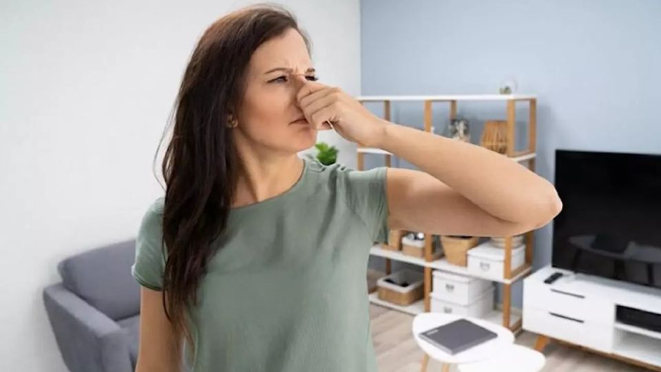 ��� ���������� �� �������� ������ � ��������: ����������� ������