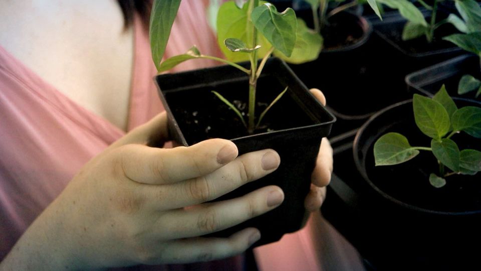 ��� �������� ������������� ��� �������� ��������� �������