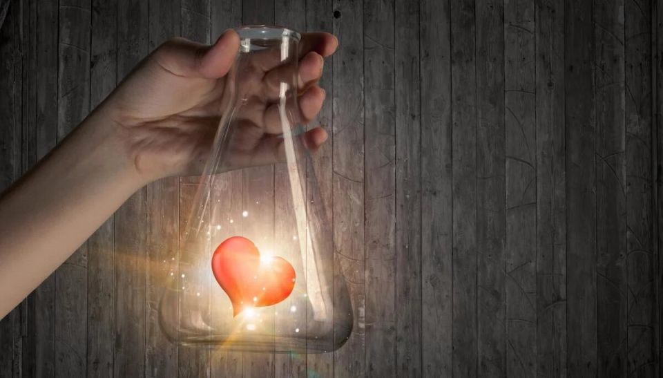 Маленький жест любви, который удивил мужа: настоящая сила мелочей