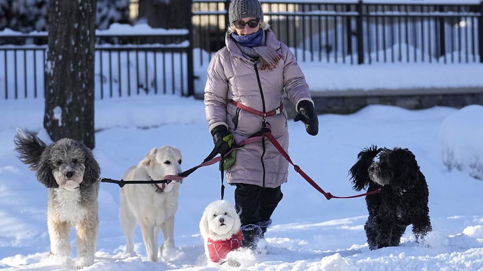 ����������� ������������� �������: ���� ������� � 2026 ����?