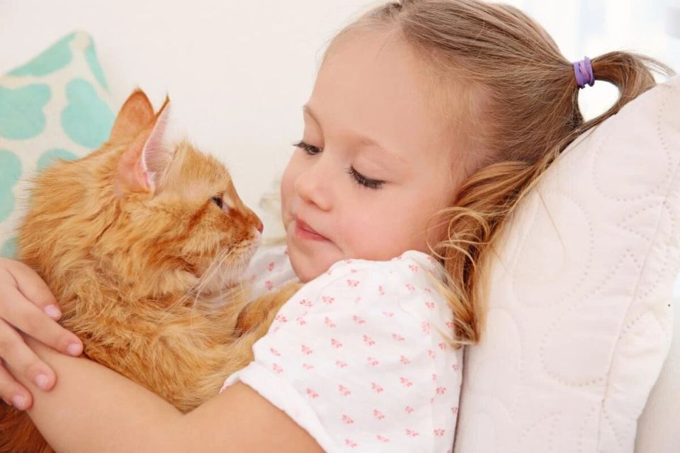 ������� ������: 10 �����, �������� ���������� ��� ����� � ������