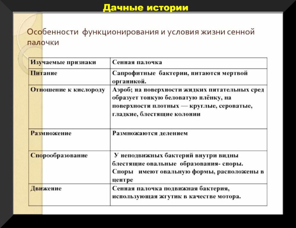 ������ �������: ������ ��������� ������ ��� �����