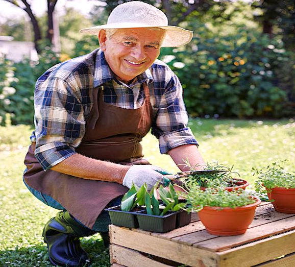 ��������� � ���������� ��������� ��� �������� ������� � 2026 ����