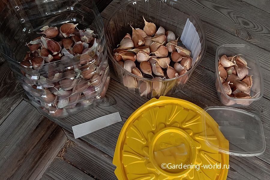 Легкие способы разметки грядки для чеснока