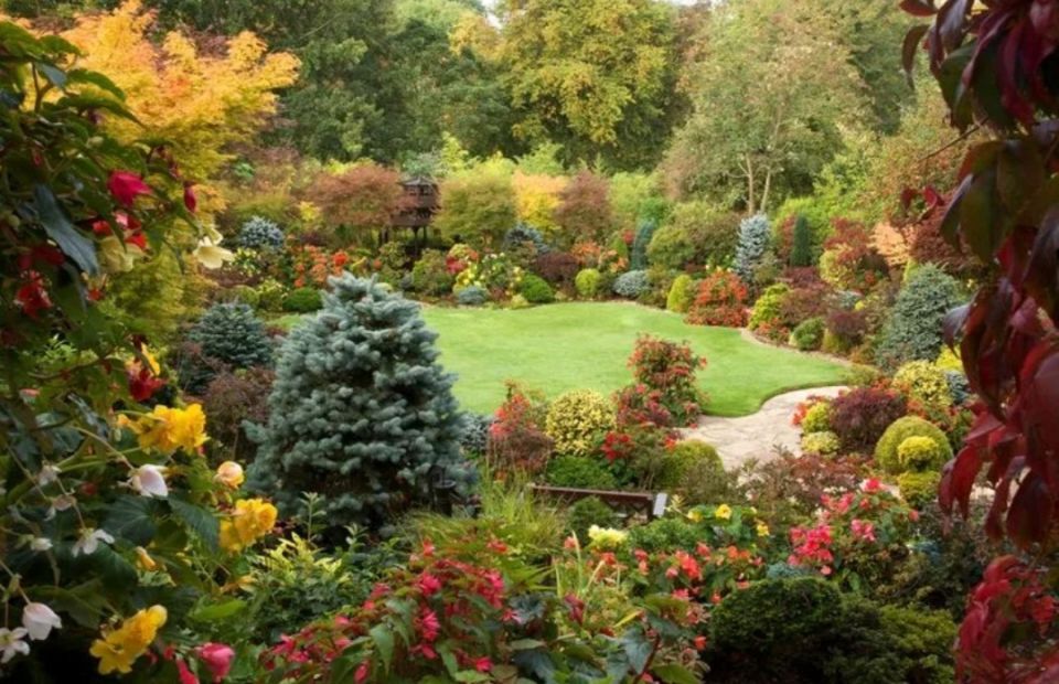 ������ ��������: ��� ����� ������� ������ �� ������ �������