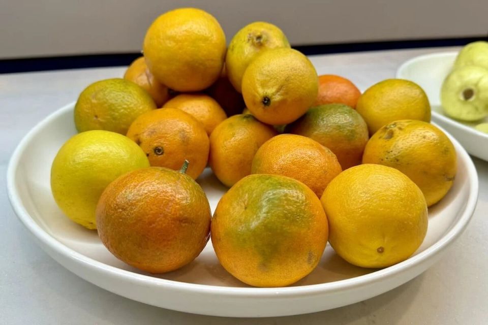 ���� ����� � ������������� ����������� ���������: ������ ��������