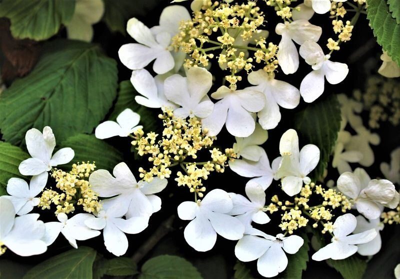 ������ ����������: ��������� ������ ��� ������ ����