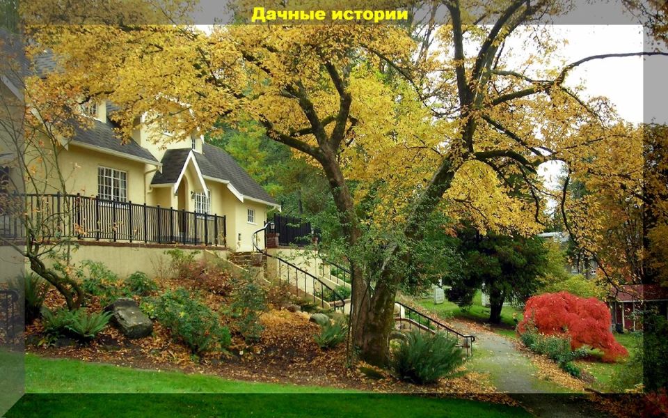 Как успешно завершить дачный сезон: советы для садоводов