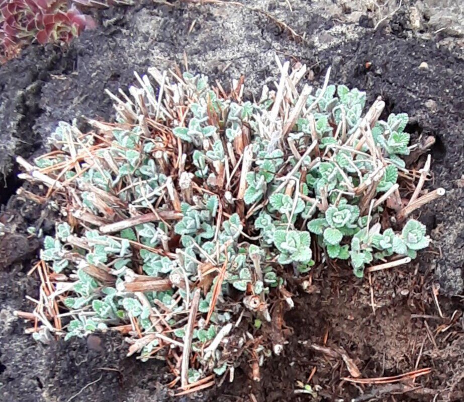 ������� �������� �������: ����� ����� ������ ������