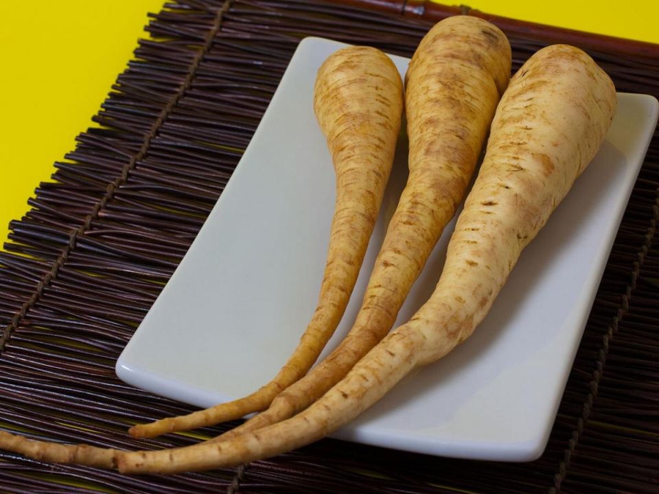 ����������� ����������: ������� ���� ����� � ����